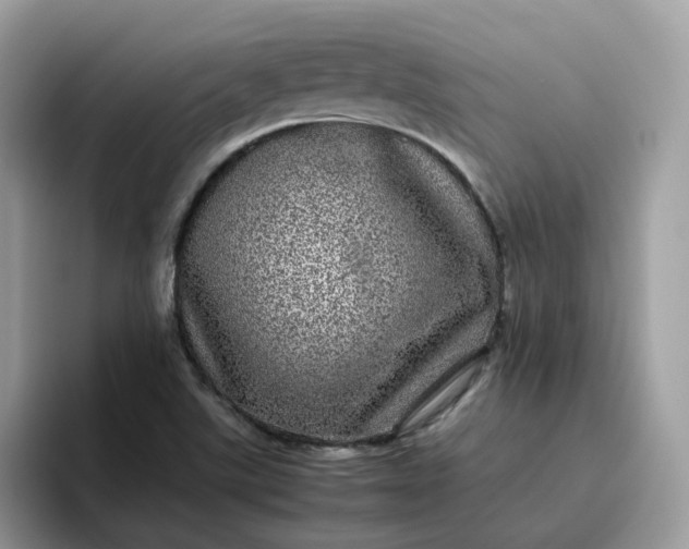 X0000095951507200801251119