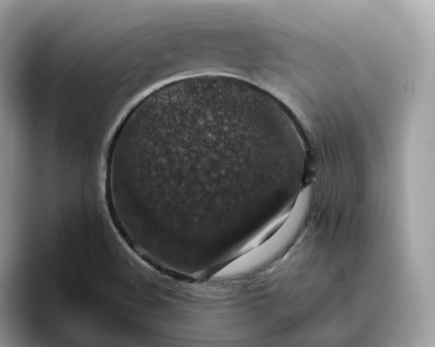 X0000095951508200801251119