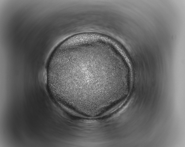 X0000095951509200801251119