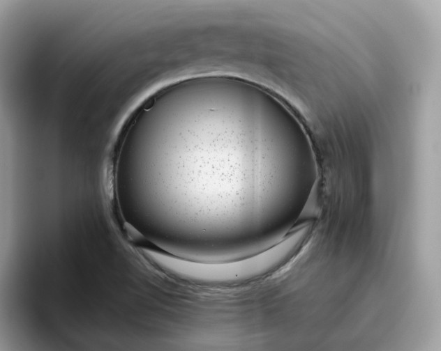 X0000095951510200801251119