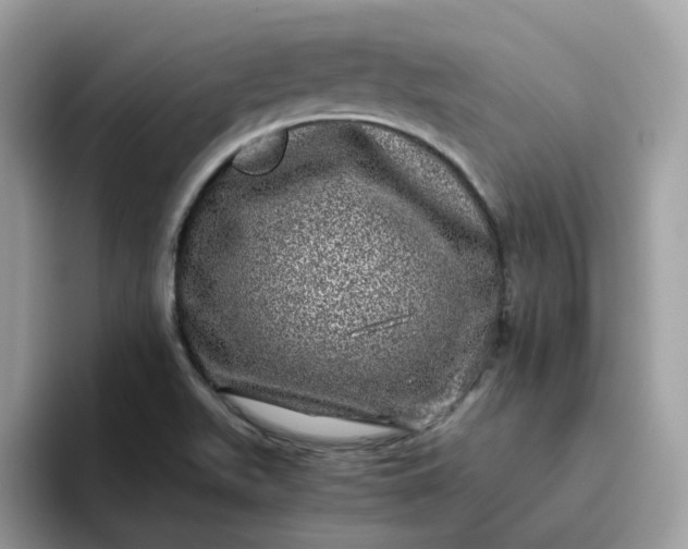 X0000095951511200801251119