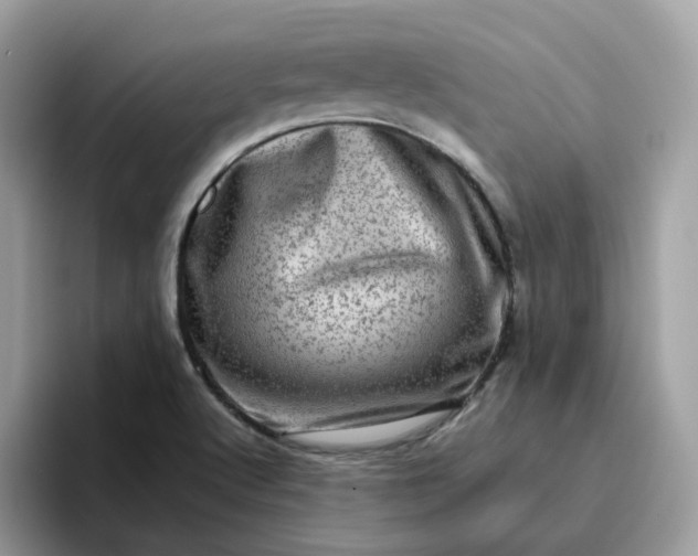 X0000095951512200801251119