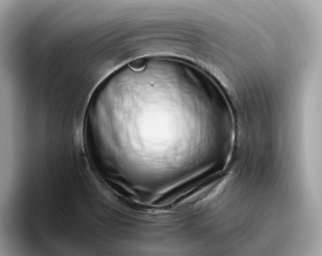 X0000095951513200801251119