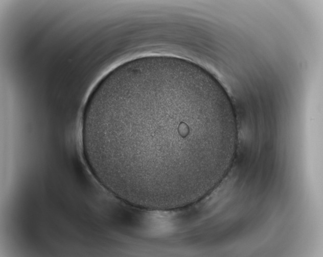 X0000095951514200801251119