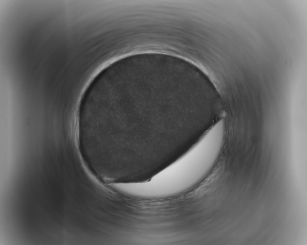 X0000095951515200801251120