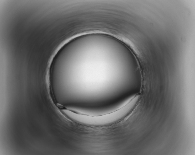 X0000095951516200801251120