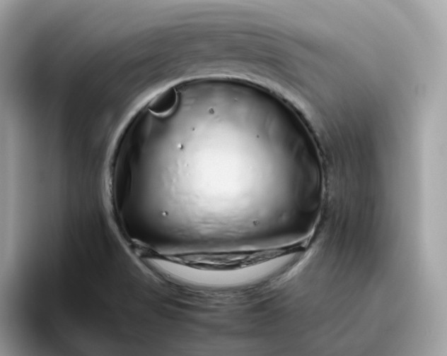 X0000095951517200801251120