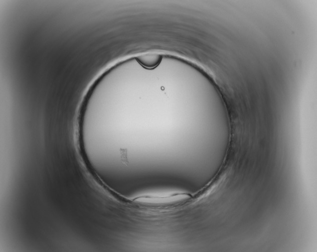 X0000095951518200801251120