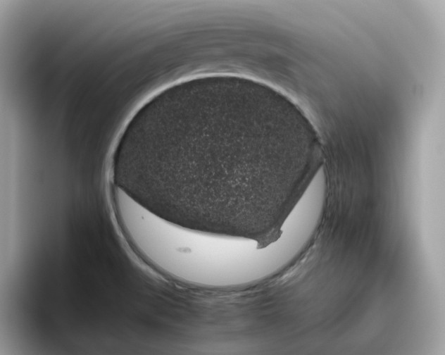 X0000095951519200801251120