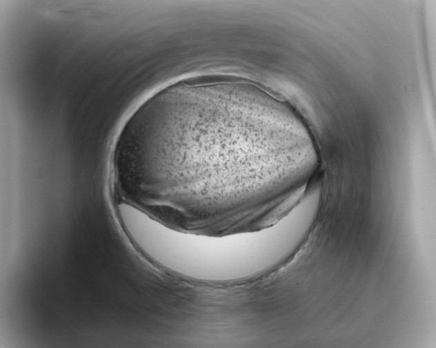 X0000095951520200801251120