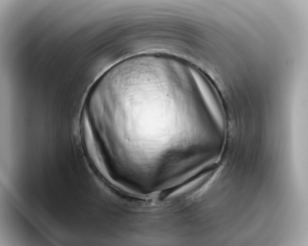 X0000095951521200801251120