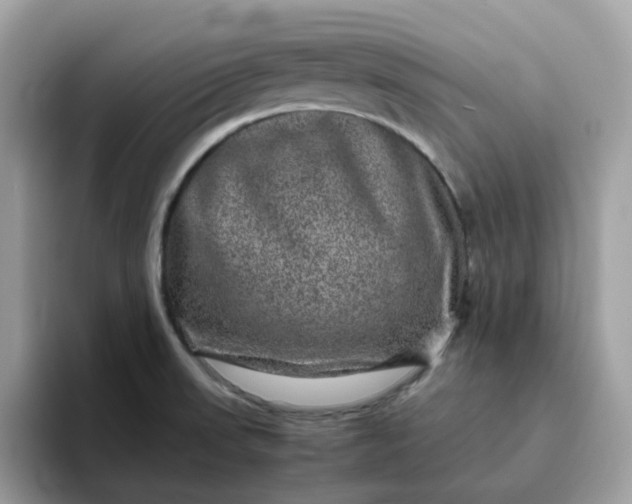 X0000095951523200801251120