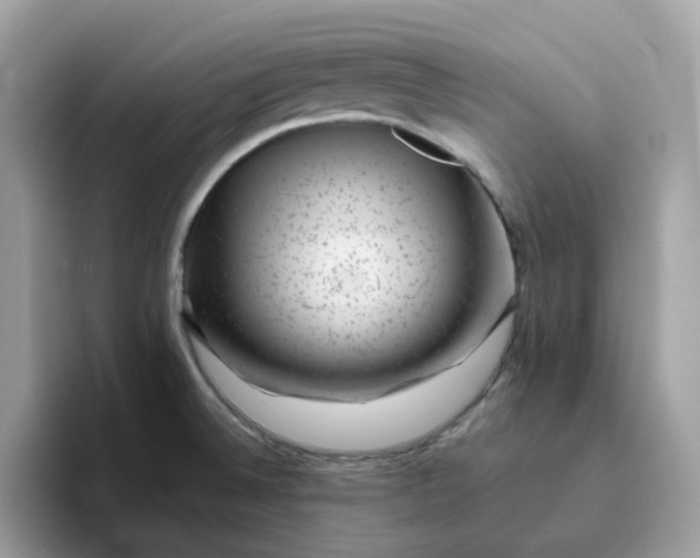 X0000095951524200801251120