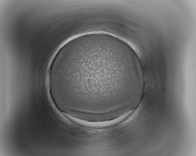 X0000095951526200801251120