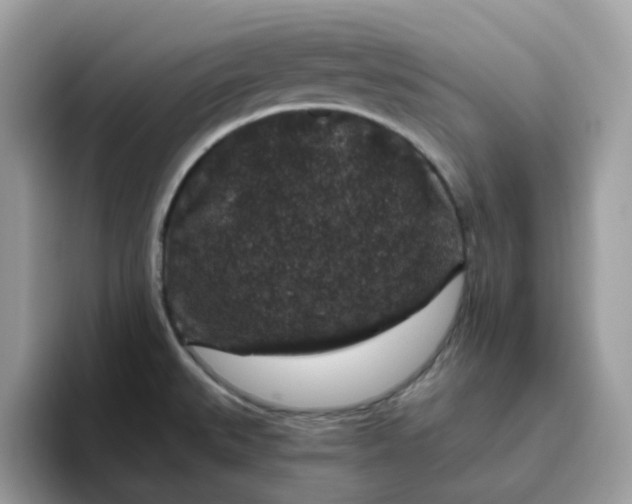 X0000095951527200801251120