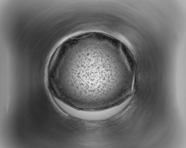 X0000095951528200801251120