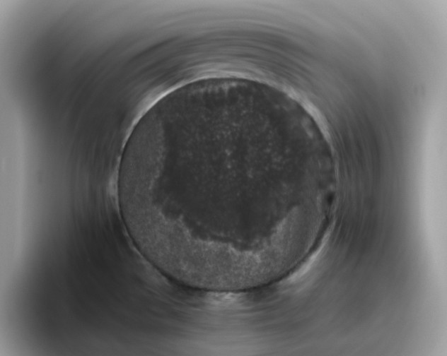 X0000095951529200801251120