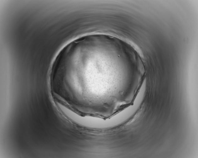 X0000095951530200801251120