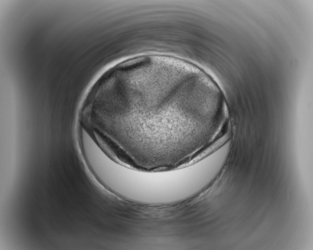 X0000095951531200801251120