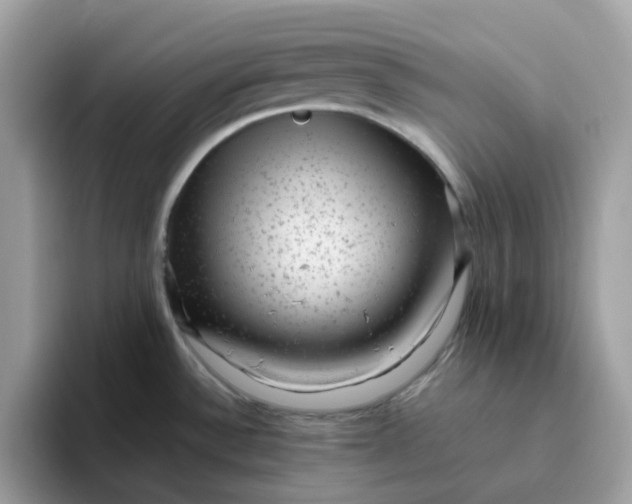 X0000095951532200801251120