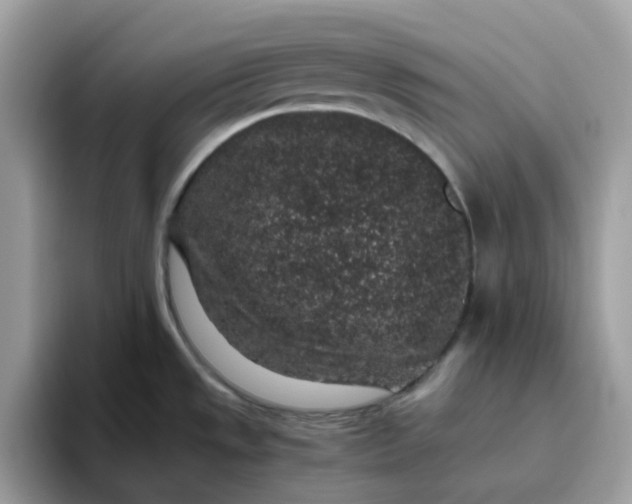 X0000095951533200801251120