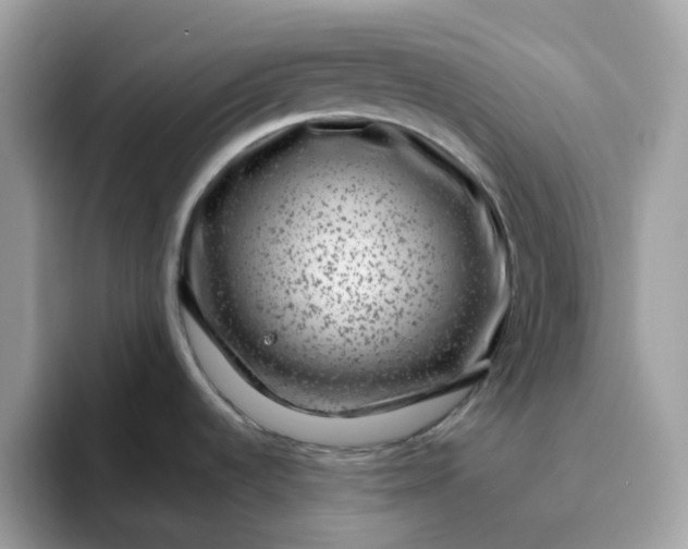 X0000095951536200801251120