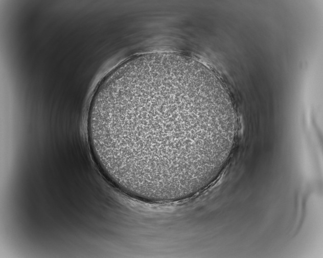 X0000095950004200802011111