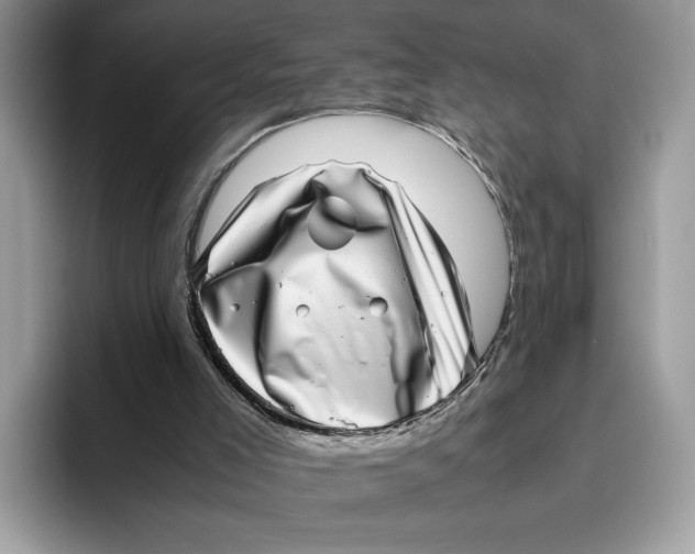 X0000095950005200802011111