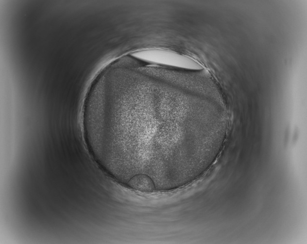 X0000095950006200802011111