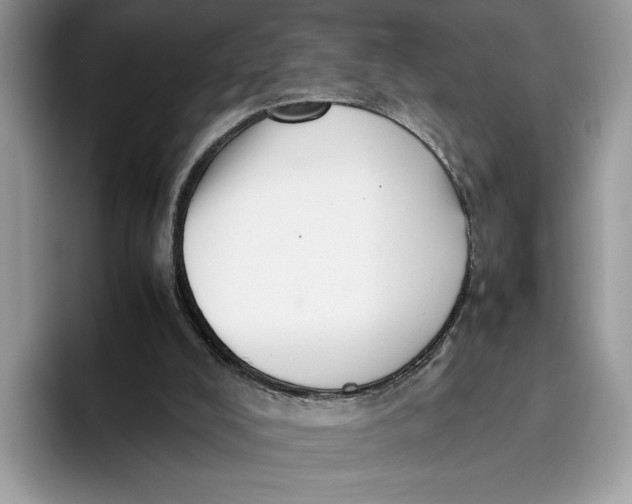 X0000095950008200802011111