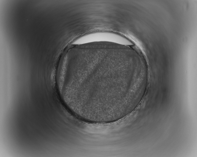 X0000095950009200802011111