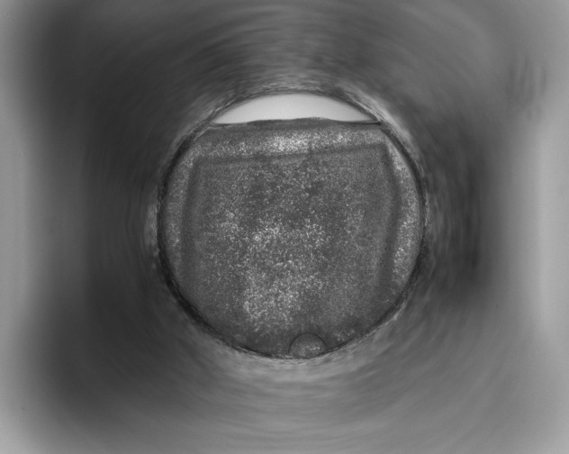 X0000095950010200802011111