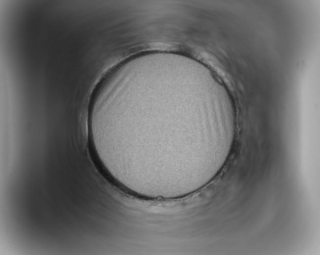 X0000095950011200802011111