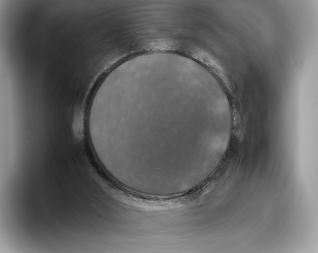 X0000095950012200802011111