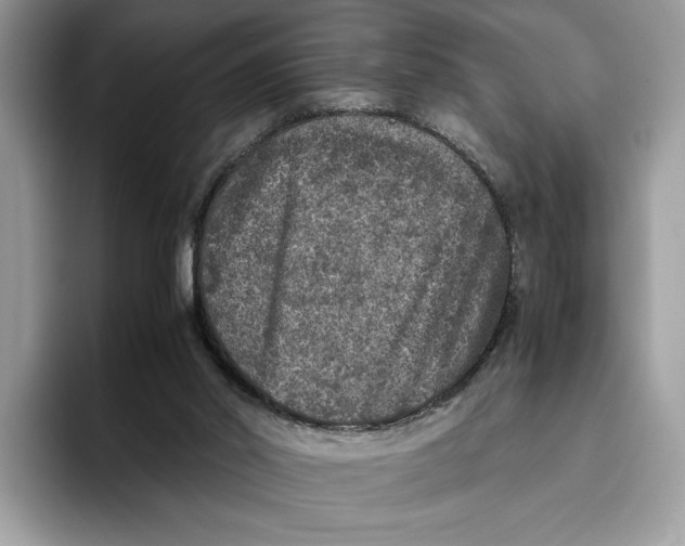 X0000095950014200802011111