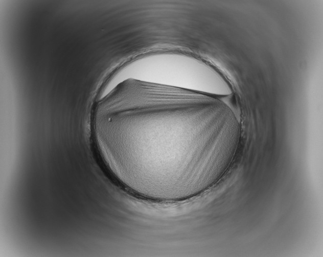 X0000095950015200802011111