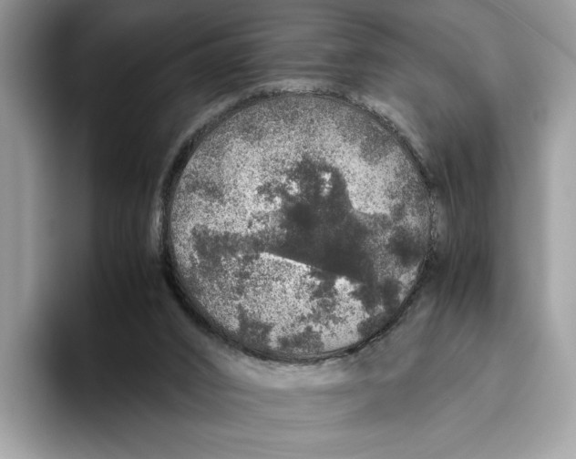 X0000095950016200802011111