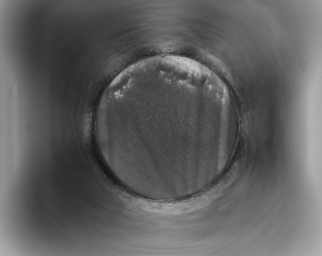 X0000095950018200802011111