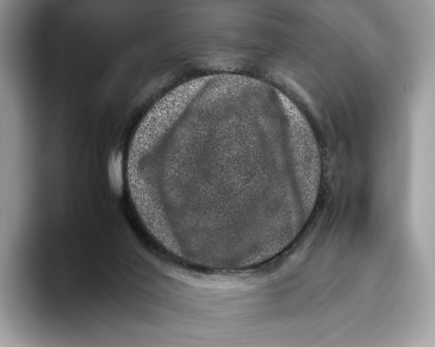 X0000095950020200802011111