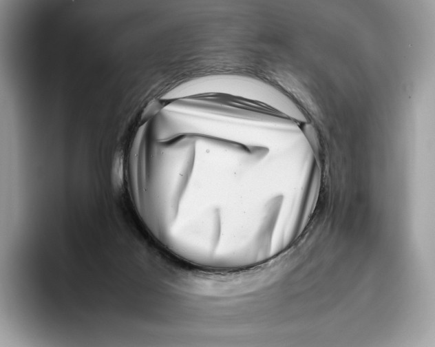 X0000095950021200802011111