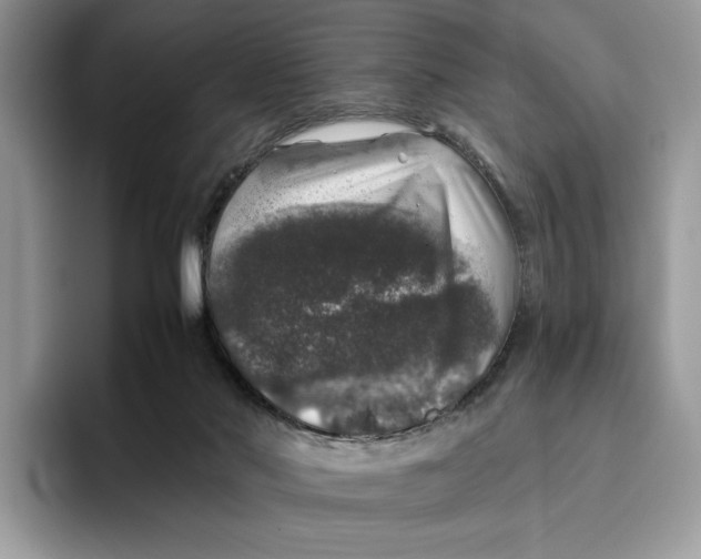 X0000095950022200802011111