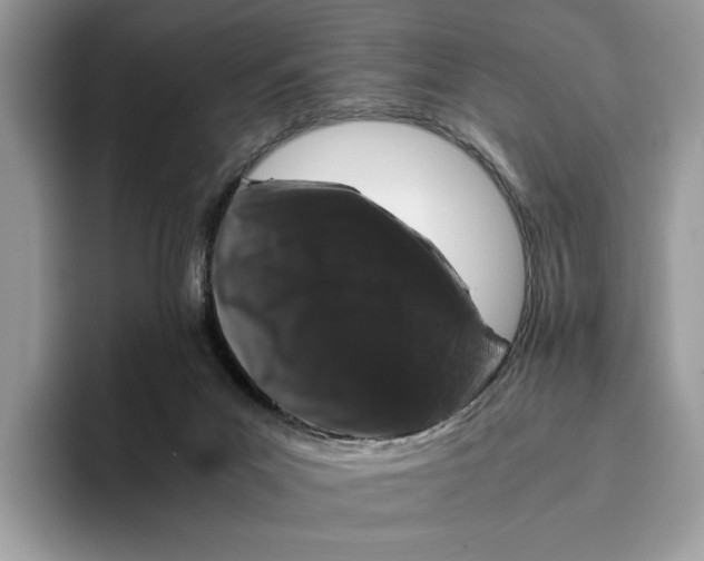 X0000095950023200802011111