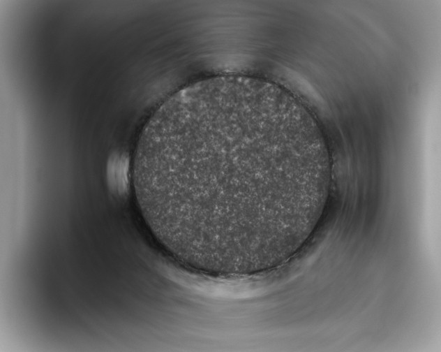 X0000095950024200802011111