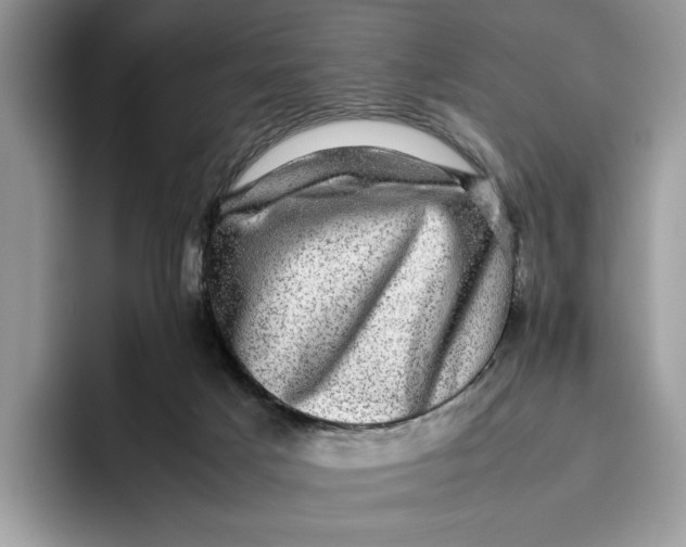 X0000095950025200802011111