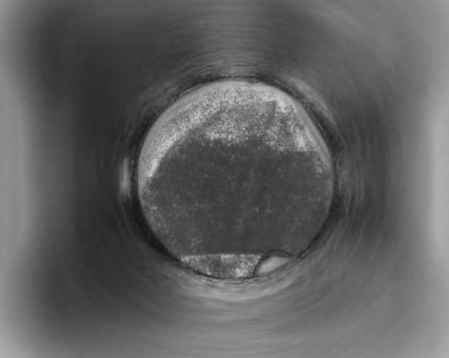 X0000095950026200802011111