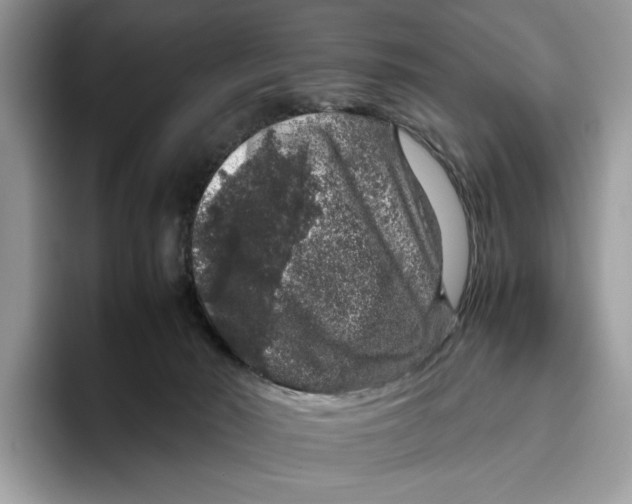 X0000095950030200802011111