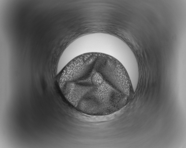 X0000095950031200802011111