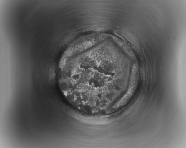 X0000095950032200802011111