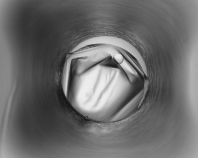 X0000095950033200802011111