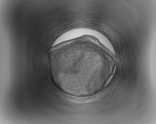 X0000095950034200802011111